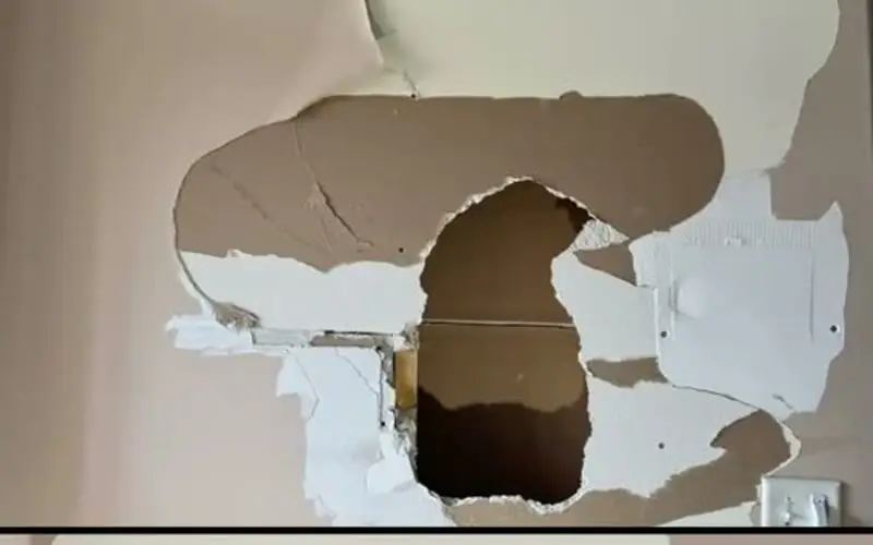 Global Finishes crew: drywall work