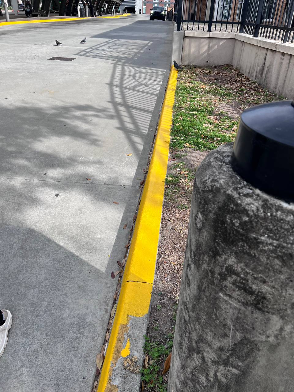 Exterior painting completed in the Lowcountry