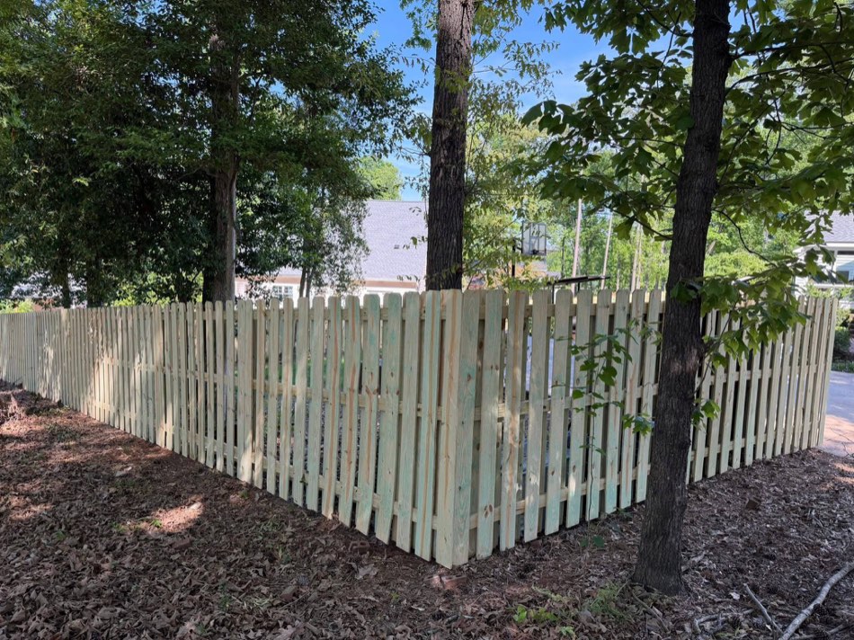 16 / Shadowbox · Patio + lush yard