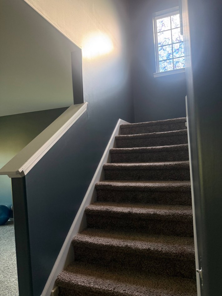 Deep navy stairwell with white trim